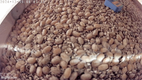 Cara Cara Chile Finishing Soy Sauce - 2025 soyory