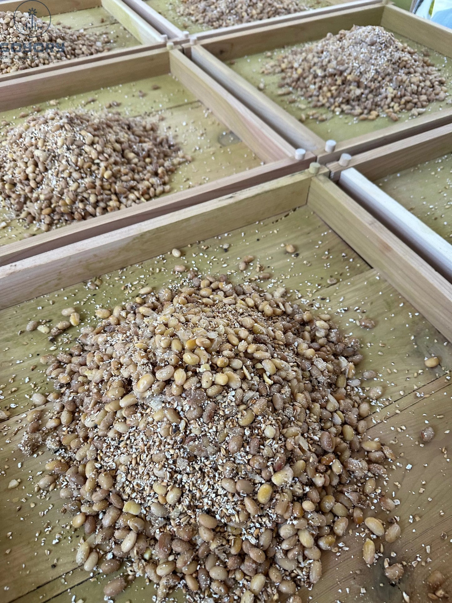 Green Chile Cedar Finishing Soy Sauce - 2024 soyory